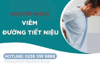 Nguyên nhân bệnh viêm đường tiết niệu