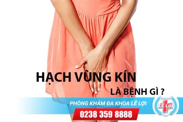 Nổi hạch vùng kín ở nữ giới là bị bệnh gì?