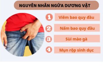 Nguyên nhân ngứa dương vật và cách điều trị