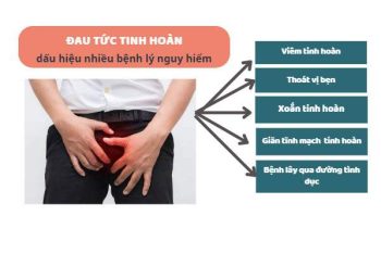 Đau tức tinh hoàn là bị gì nguy hiểm không?