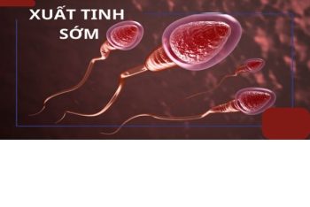 Thực phẩm chống xuất tinh sớm hiệu quả