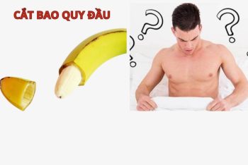 Cắt bao quy đầu bao lâu thì lành giải đáp từ bác sĩ